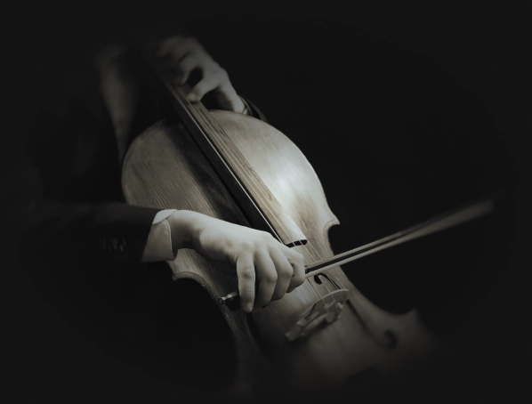 Imagem em preto e branco, mostra um instrumento musical de cordas sendo tocado.